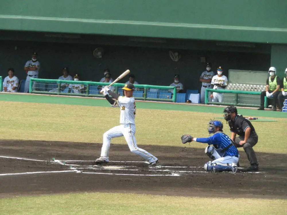 【画像・写真】阪神・小幡、フェニックスLでサイクル安打達成　岡田新監督が遊撃レギュラー期待の若武者大暴れ
