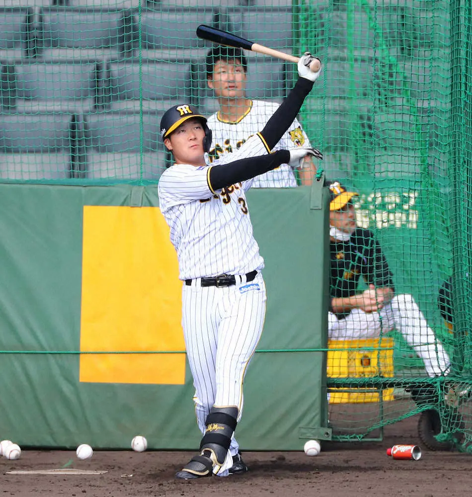 【画像・写真】阪神・大山＆佐藤輝よ「猛虎のON」になれ！岡田監督が特大プラン　V奪回へ「不動の一塁、三塁で」