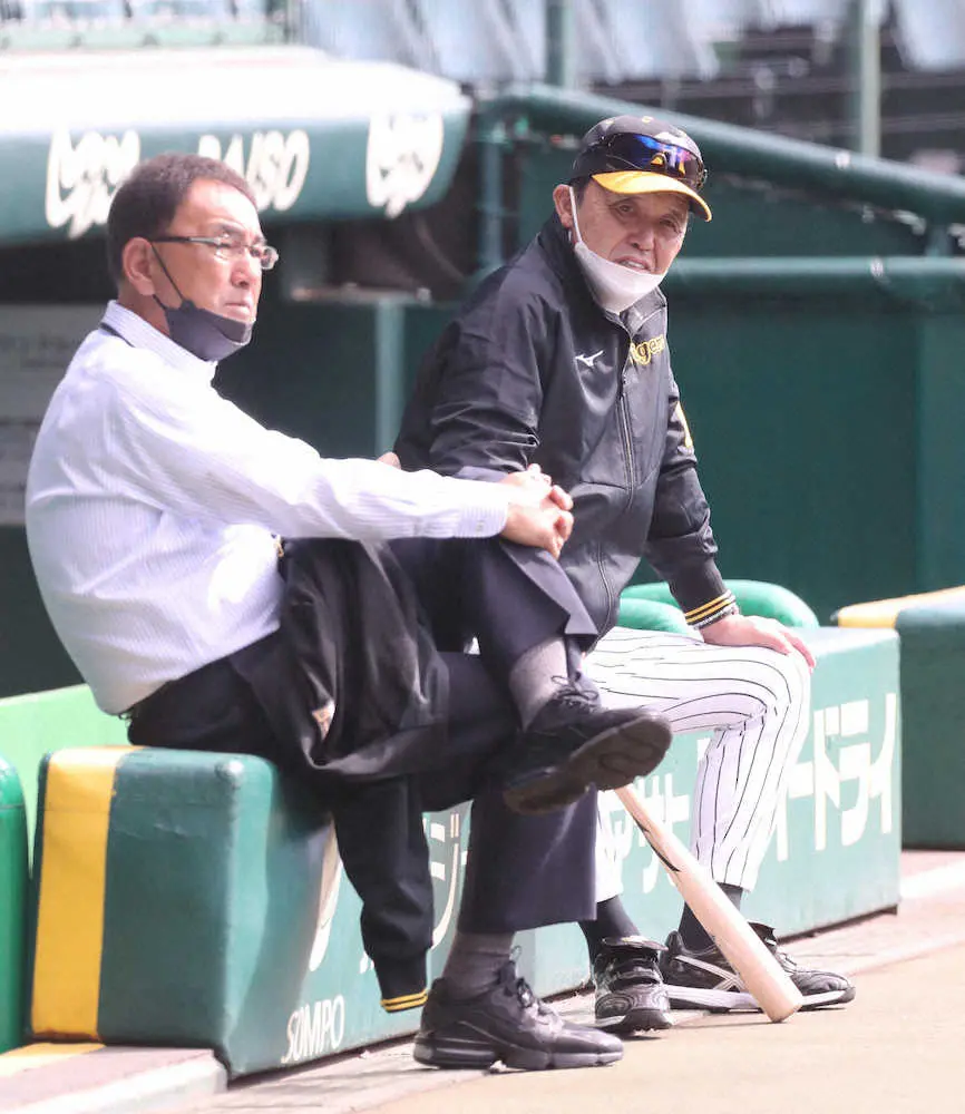【画像・写真】【阪神・岡田監督語録】主将制度眼中になし「選手会長とどう違うのよ」　岩崎は「セットアッパーが一番」