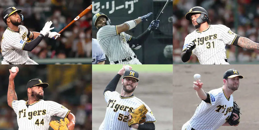 【画像・写真】阪神　来季助っ人を一新　マルテら6人退団、残留はケラーのみ　岡田監督は「5～6人」の方針