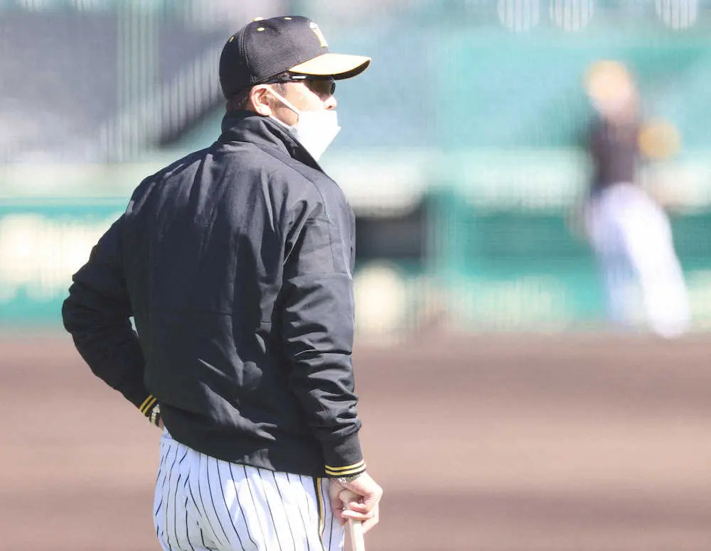 【画像・写真】【阪神・岡田監督語録】新助っ人選考へ映像「もうだいぶ見たよ。決めれんわ。ええのおらんから」