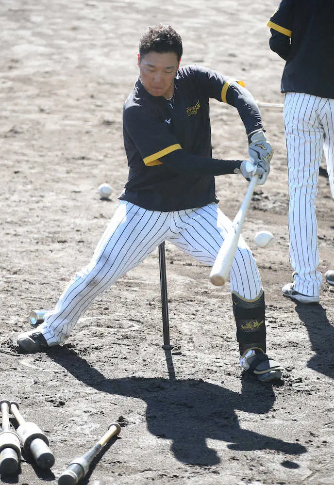 【画像・写真】阪神・大山　“岡田イズム”で新打法挑戦　ミートポイント前で来季30発超えや