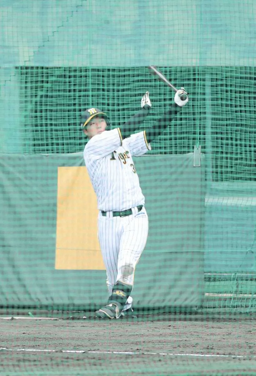 【画像・写真】阪神・佐藤輝と大山がランチ特打で今秋2度目の共演　ともに柵越え締めで安芸の観衆沸かせる