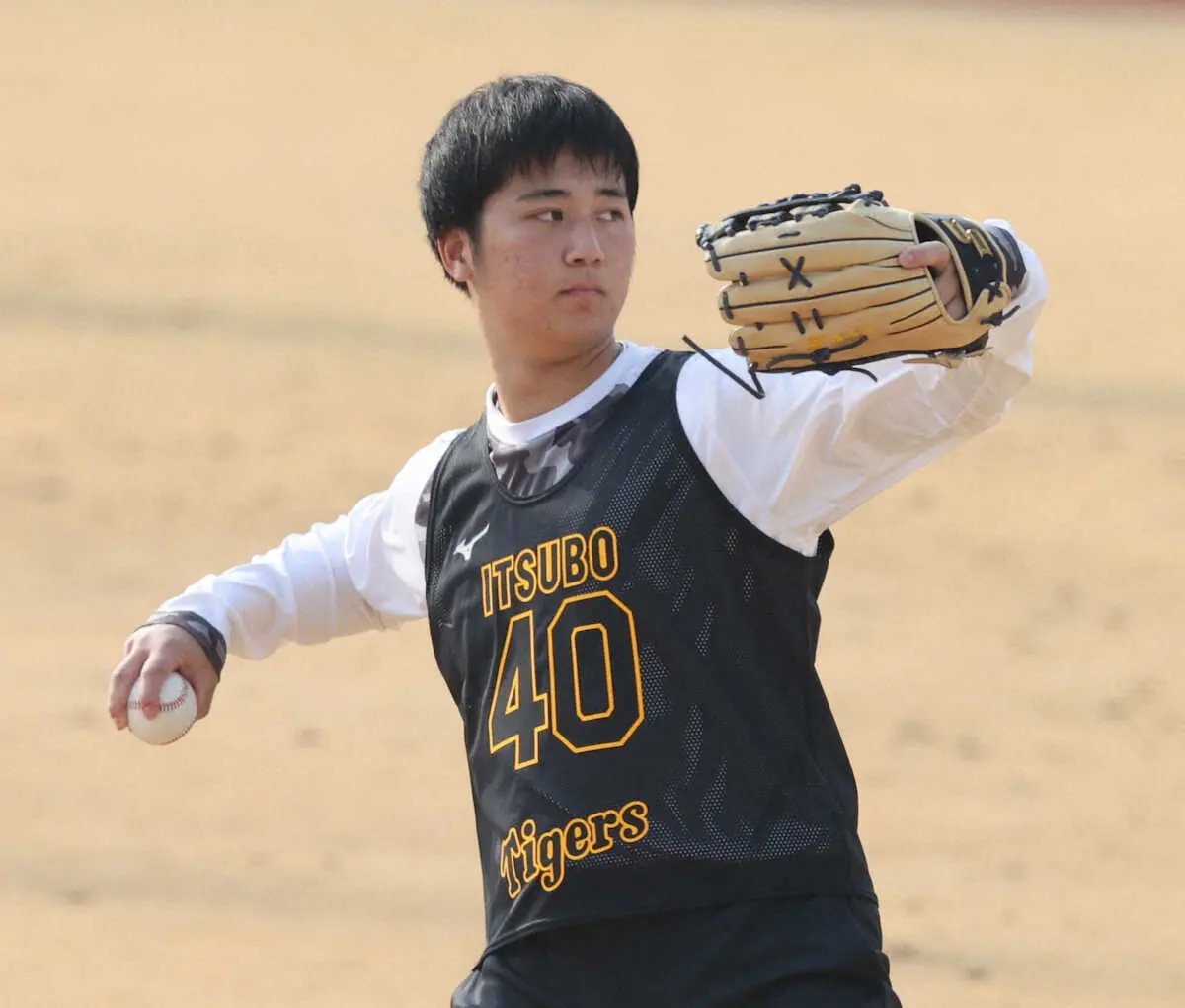 【画像・写真】阪神・ドラ3井坪　未来の右の大砲へ“岡田打法”に意欲　「話を聞きたい」現役時代の動画で勉強中