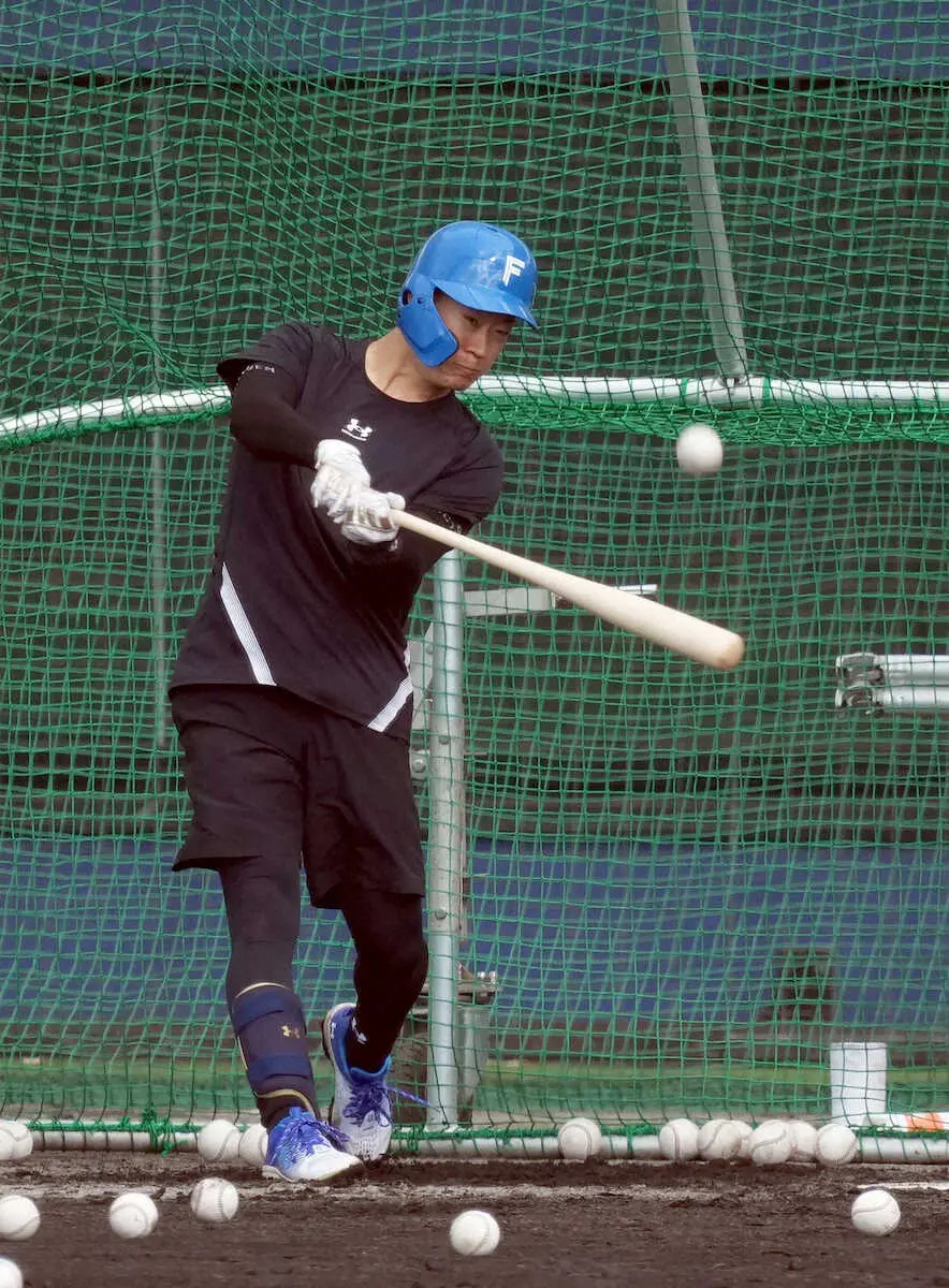 【画像・写真】日本ハム・矢沢　バックスクリーン弾2発！注目ドラ1が初の屋外フリーで「打」の進化証明