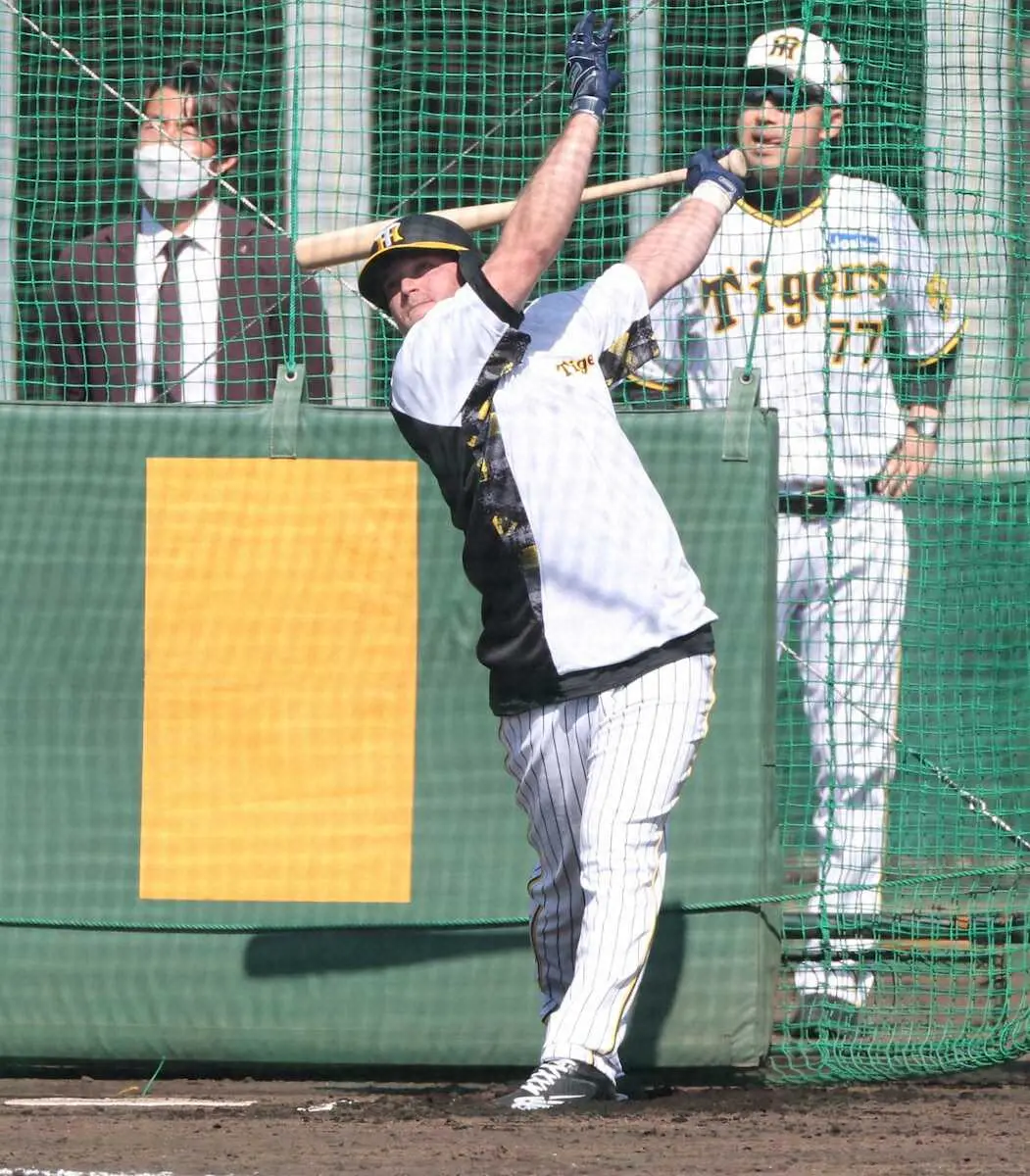 【画像・写真】阪神の左翼候補ノイジー　キャンプ初日終え「自分は完璧主義者」とミスター・パーフェクト宣言