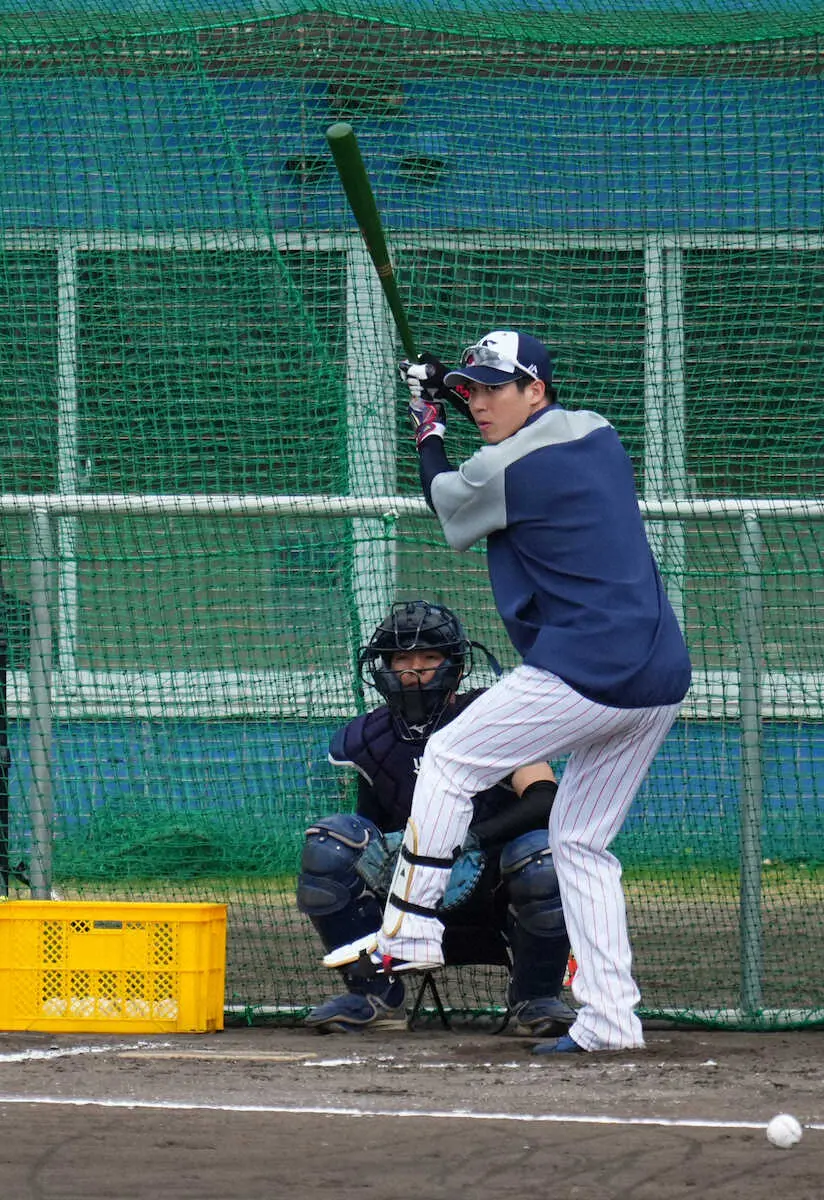 ヤクルト・山田 球団史上初300発&200盗塁へ― スポニチ Sponichi Annex 野球