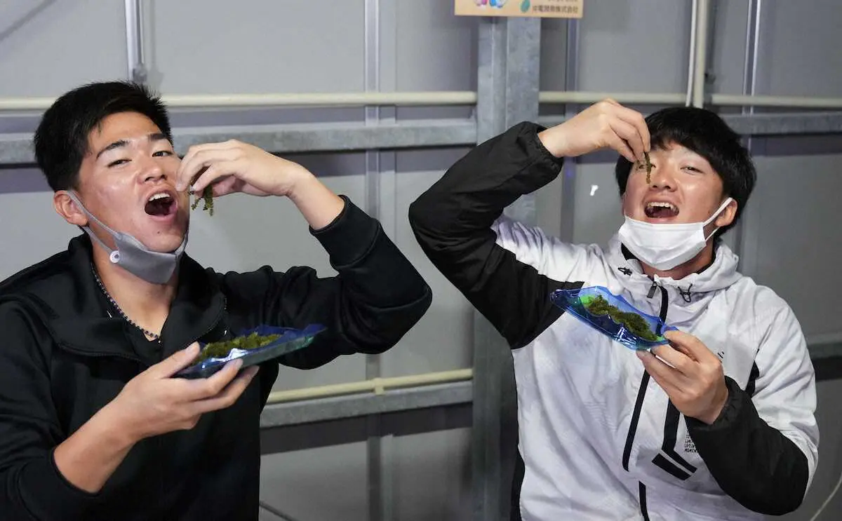 【画像・写真】ヤクルト・ドラ1吉村　休日に浦添観光でリフレッシュ「てだのように目立っていければ」