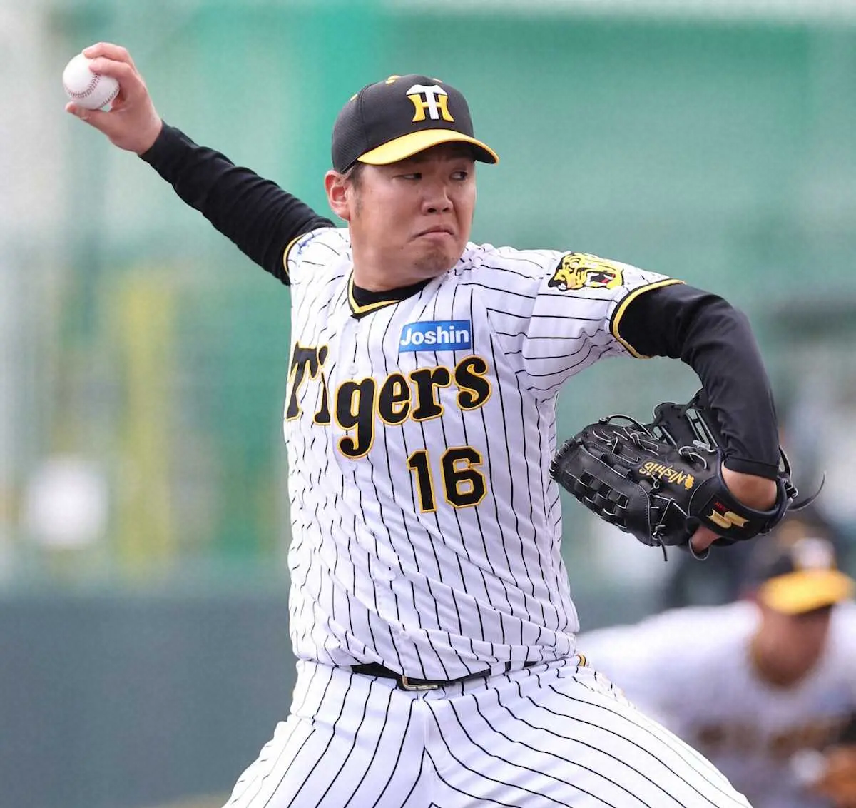 【画像・写真】阪神・西勇　さすがの貫禄！今春初の実戦形式で近本、ノイジーら打者4人をシャットアウト!!