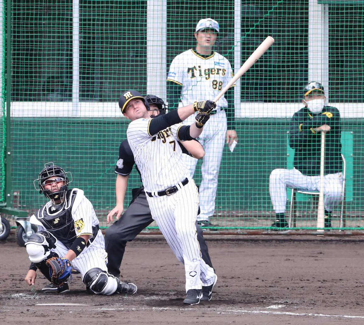 【画像・写真】“すごいわぁ”阪神の新外国人・ノイジー&ミエセス　早くも来日1号そろい踏みの虎アベック弾