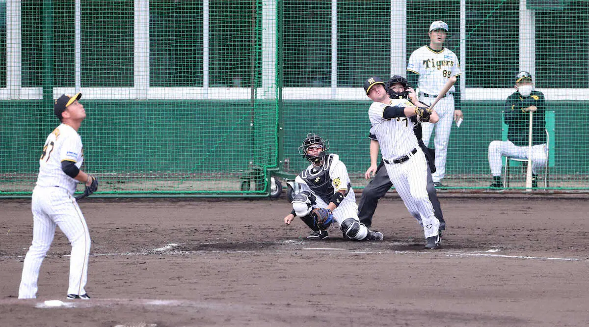 【画像・写真】セ界スコアラー陣をビビらせた！　阪神・ノイジー　今春初シート打撃で135M弾　苦手克服左腕撃ち