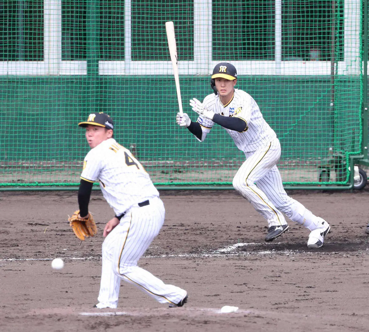 【画像・写真】阪神・小幡　正遊撃手獲りへ存在感　今春初実戦いきなり中前打「ボールの見え方悪くない」