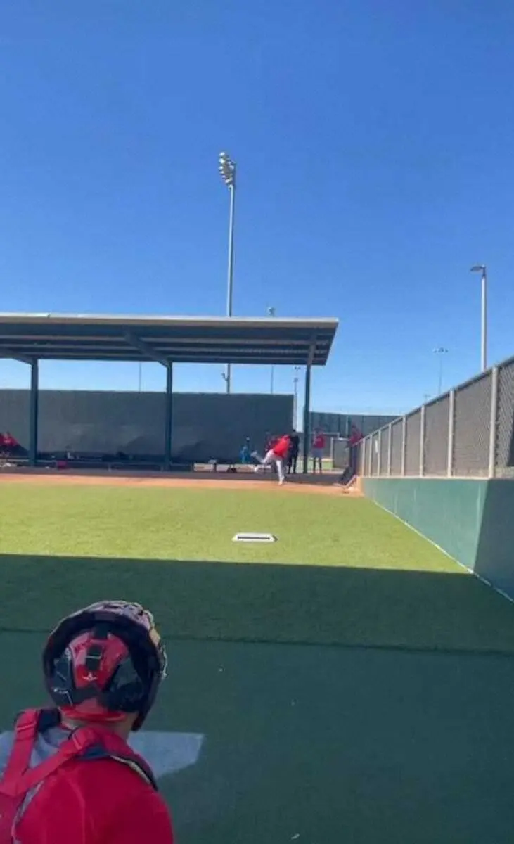 【画像・写真】エンゼルス・大谷　インスタで投球動画公開「もうすぐ野球が戻ってくるぞ」