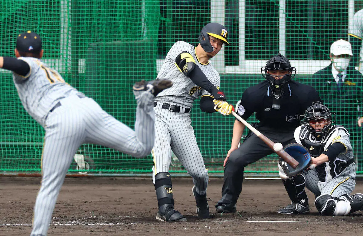 【画像・写真】阪神・佐藤輝　球春告げる第1号！　西純からバックスクリーンへ一撃　ベンチの鳥谷氏も笑顔