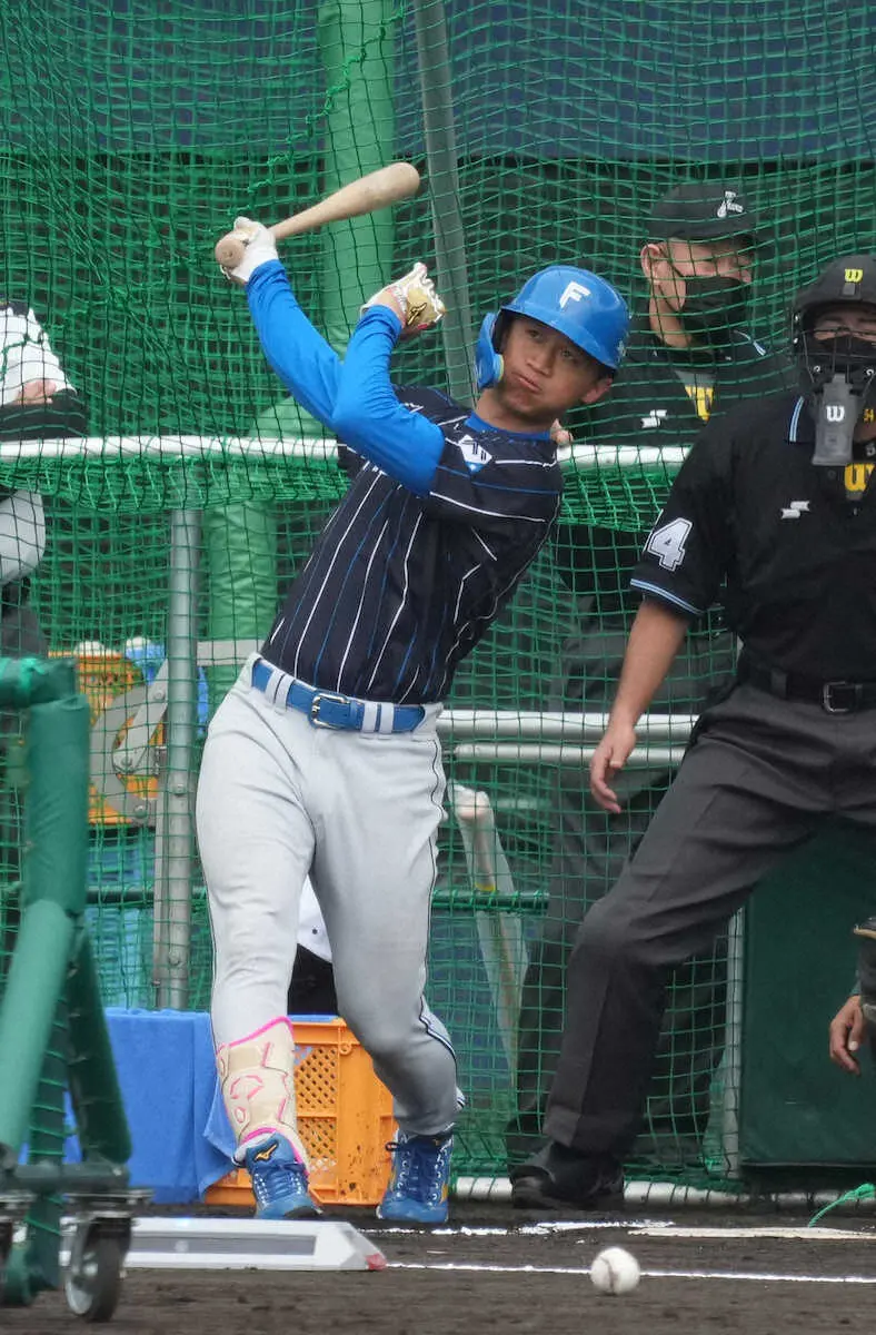 【画像・写真】日本ハム・加藤豪将　6年契約のダルビッシュに「おめでとうございます！」　2人の意外な関係性も紹介