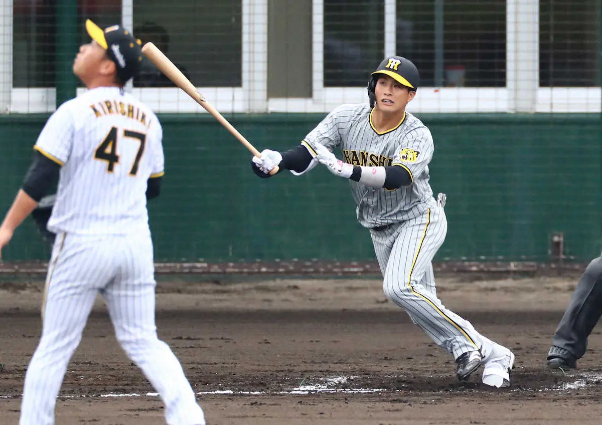 【画像・写真】阪神　紅白戦第1号は遊撃争いの木浪！　右翼への2ランにスタンド拍手