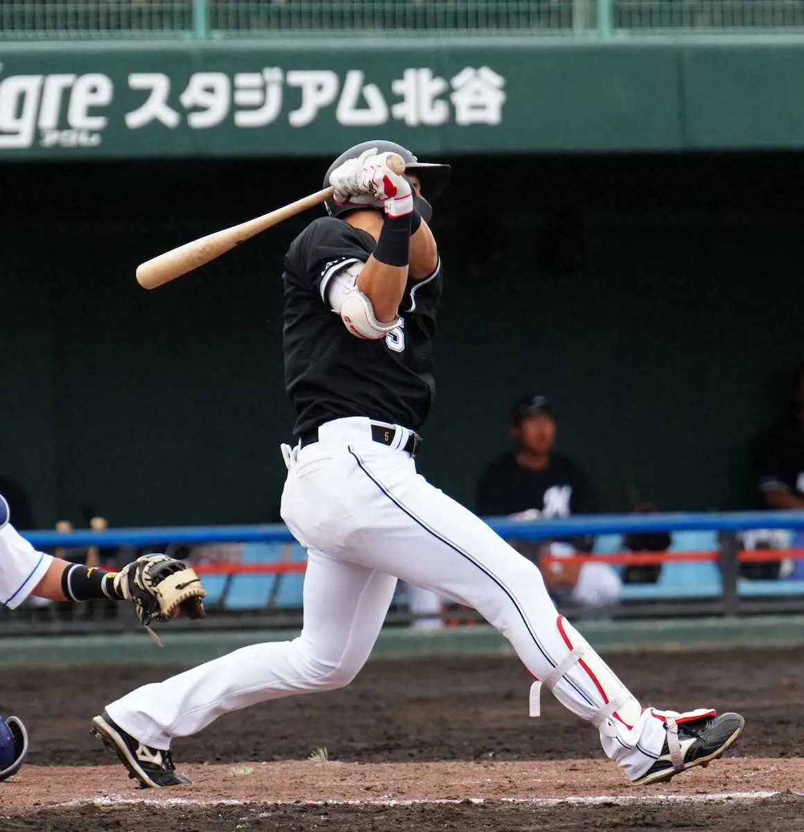 【画像・写真】ロッテ・安田　4番の存在感だ2安打1打点　監督からハッパ「打てなかったら8番だぞと」