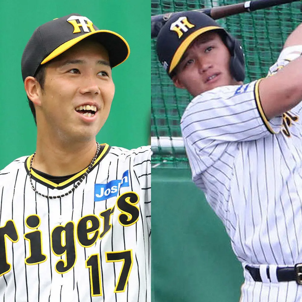 【画像・写真】【16日キャンプの見どころ】阪神・青柳VSドラ1・森下　ソフトBは開幕ローテ入り狙う板東ら紅白戦登板