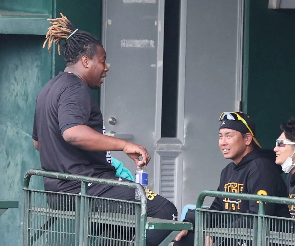 【画像・写真】高木豊氏が提案　阪神5番にノイジー、7番にミエセス　併用するなら6番に指名した選手とその意図は