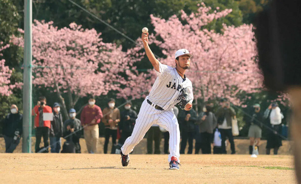 【画像・写真】侍・ダルビッシュ　志願の完全別メニューで独自調整「その日その日に集中」
