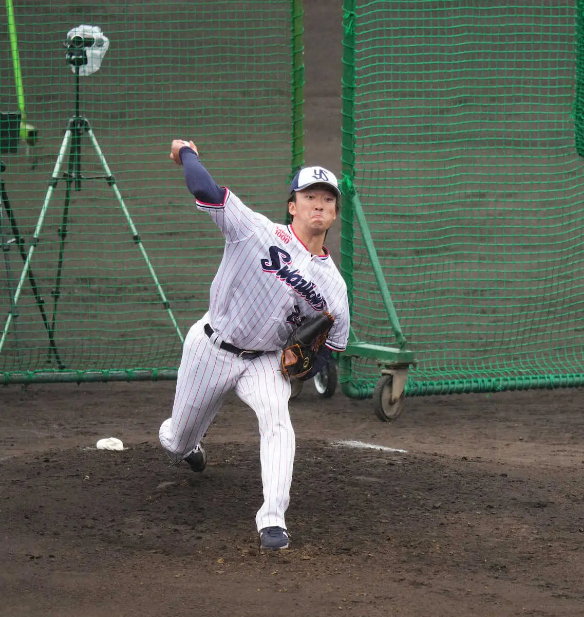 【画像・写真】ヤクルトドラ1吉村の実戦デビューを変更　高津監督「少しペースダウンしよう」