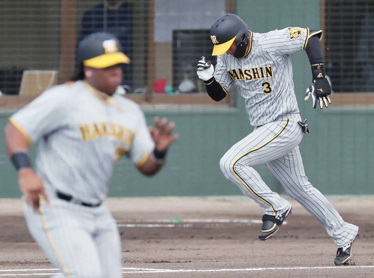 【画像・写真】【内田雅也の追球】結果に対する責任は取る「打て」の作戦には岡田監督の信念や覚悟がひそんでいる