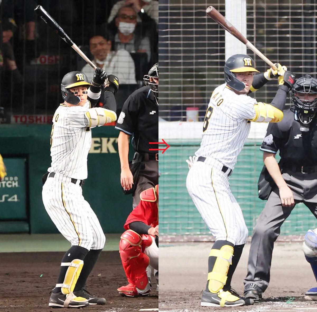 【画像・写真】関本賢太郎氏　阪神・佐藤輝の決意と覚悟感じた　前傾角度の微調整で30発100打点へ