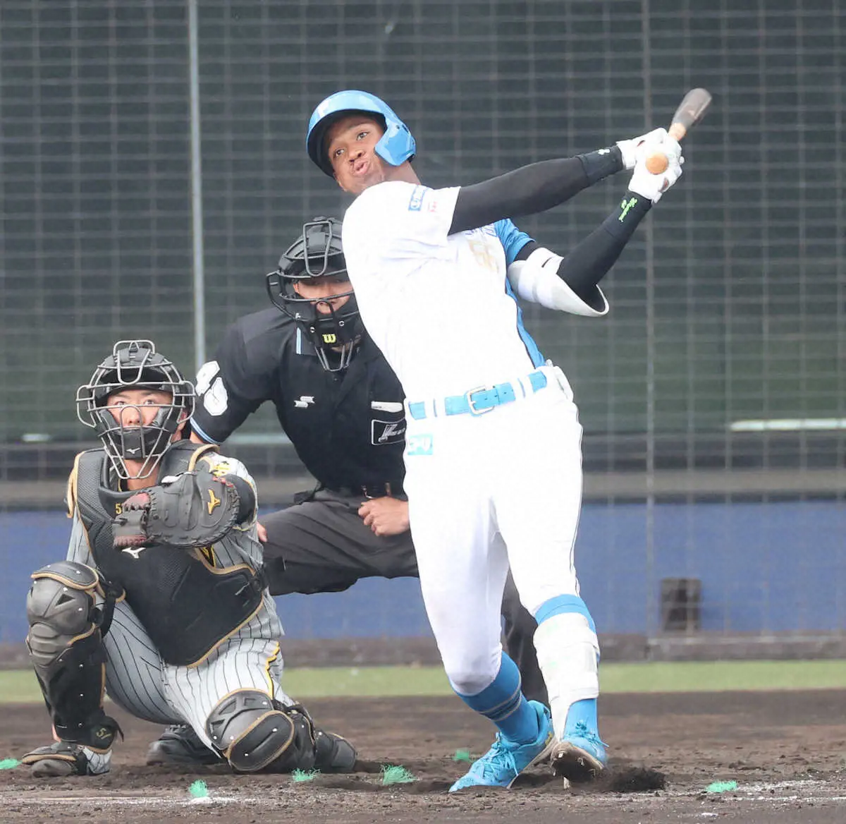 【画像・写真】日本ハム・万波　キャンプ中の最終打席で一発「完璧でした」