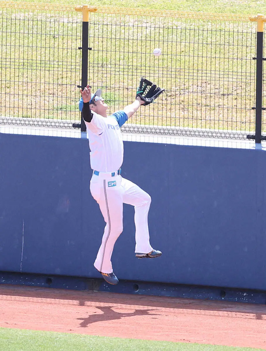 【画像・写真】日本ハム・浅間が左足骨折　26日の阪神とのオープン戦でフェンスにぶつかって負傷