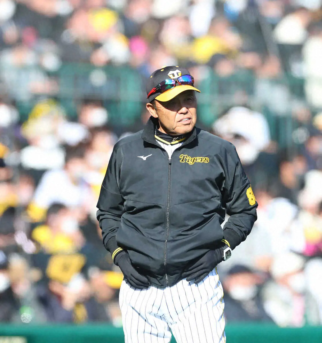 【画像・写真】阪神・岡田監督　ベンチで“お説教”　ローテ期待の大竹4失点に「ボール一つ多いよな」