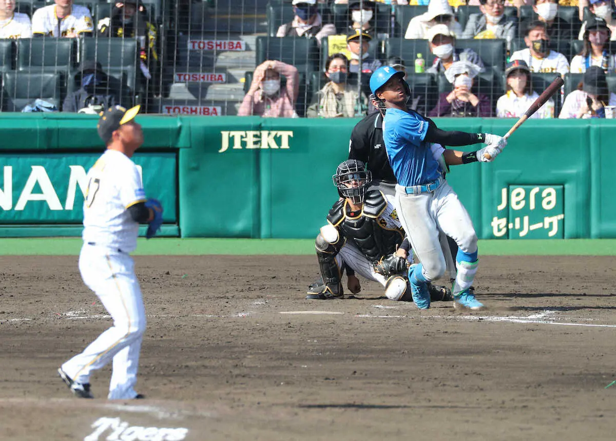 【画像・写真】日本ハム・万波　OP戦トップタイ“進化”3号　侍経験後9打数4安打2本塁打