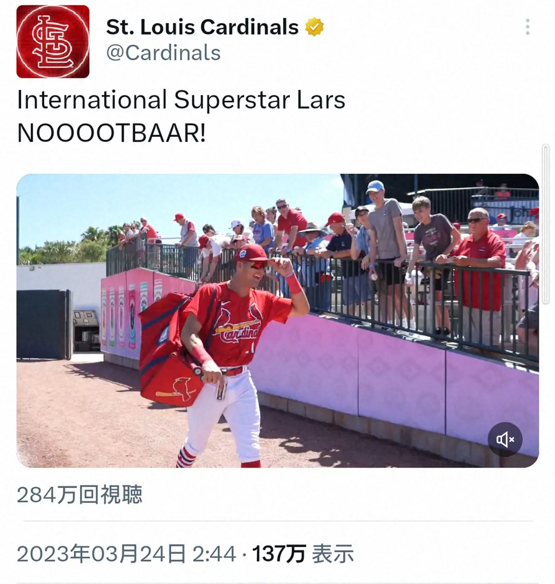 【画像・写真】カージナルス　ヌートバーのチーム合流を「世界的なスーパースター」と紹介　早くもOP戦出場