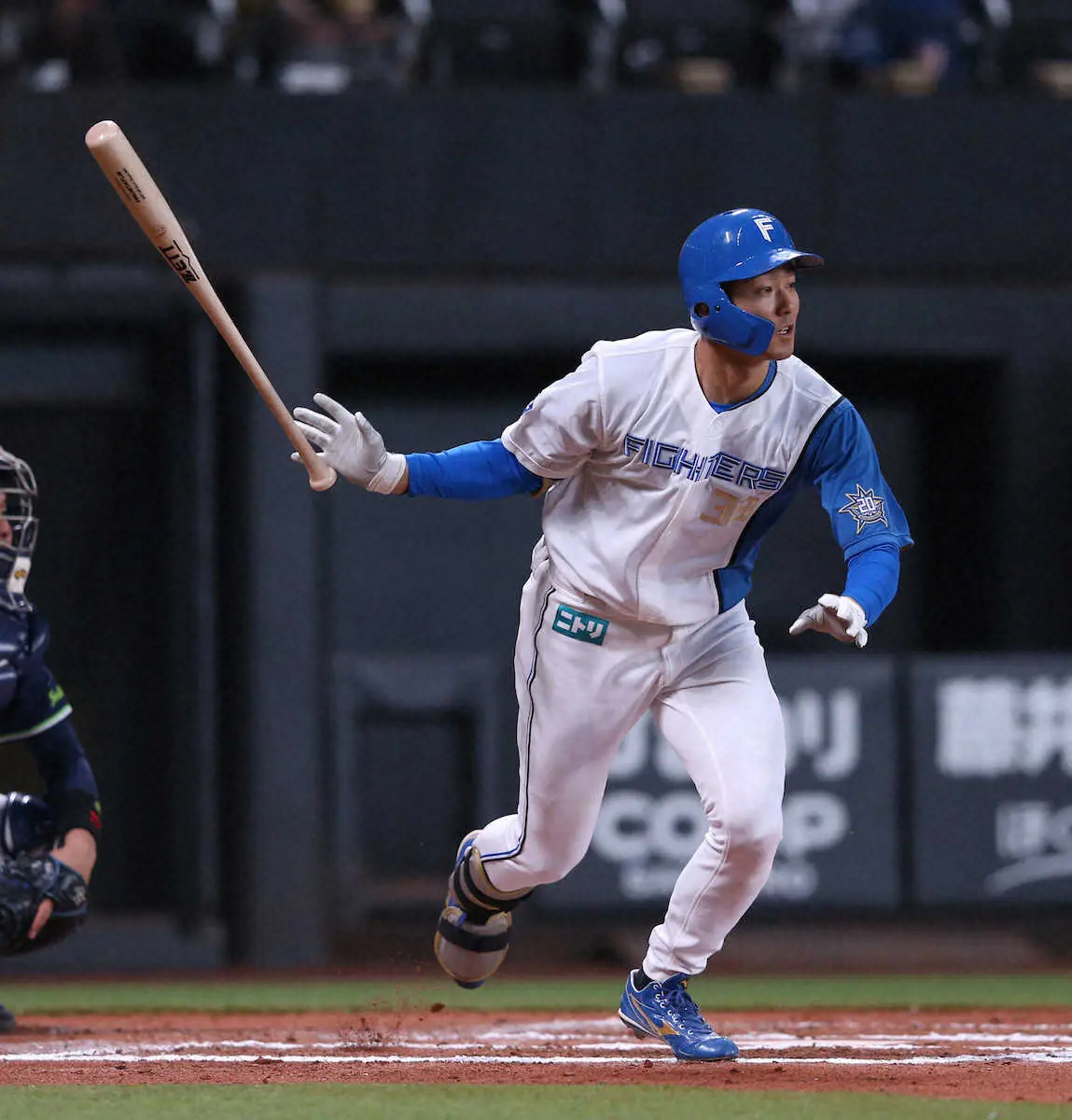 【画像・写真】日本ハム・石井　オープン戦打率・359で開幕へ「負けるはずがない」強い気持ちで二塁の開幕スタメン手中