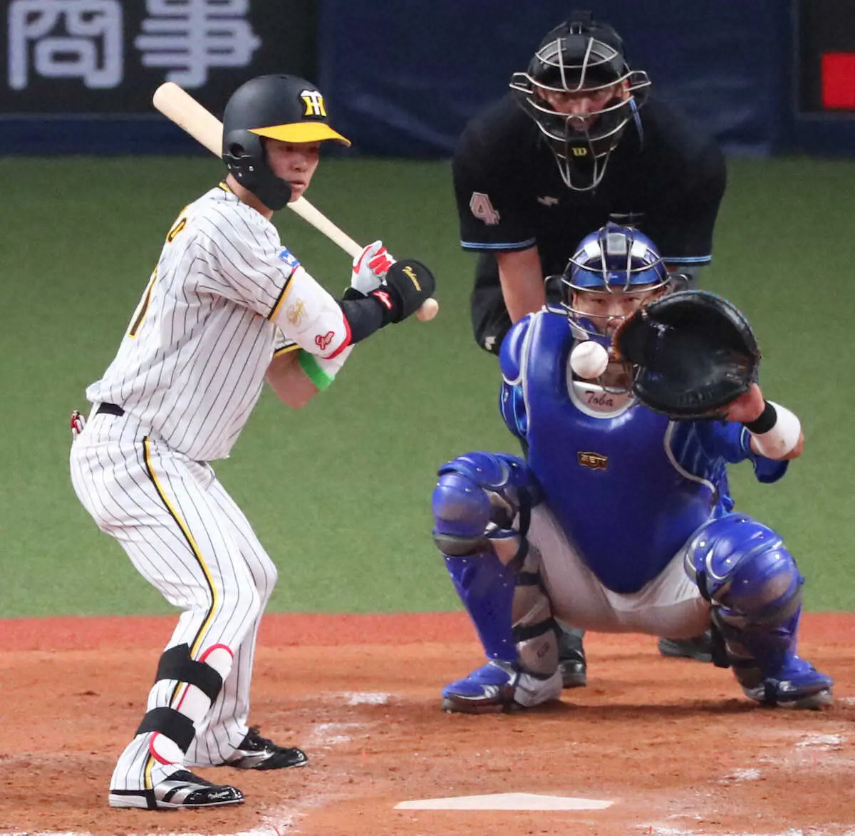 【画像・写真】【虎番リポート】岡田イズム浸透　“四球選ばない男”中野の変身が示す野手陣の意識改革