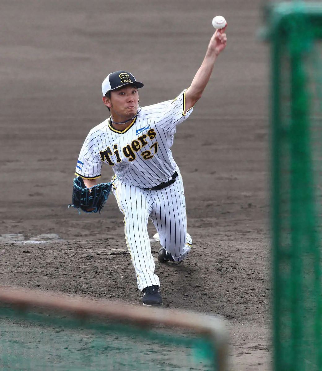 【画像・写真】阪神・左肩違和感の伊藤将が約1カ月ぶりの実戦形式登板　シート打撃7打席で安打性ゼロ