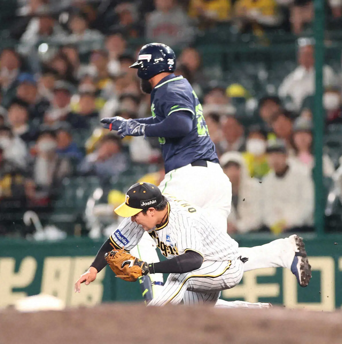 【画像・写真】阪神・大山　一塁守備でサンタナと接触してヒヤリ　患部の状態には無言貫き「明日も頑張ります」