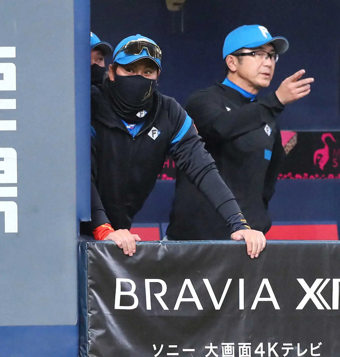 【画像・写真】＜オ・日2＞4回、オリックスのリクエスト後にオリックスベンチの様子を伺う新庄監督（撮影・後藤　大輝）