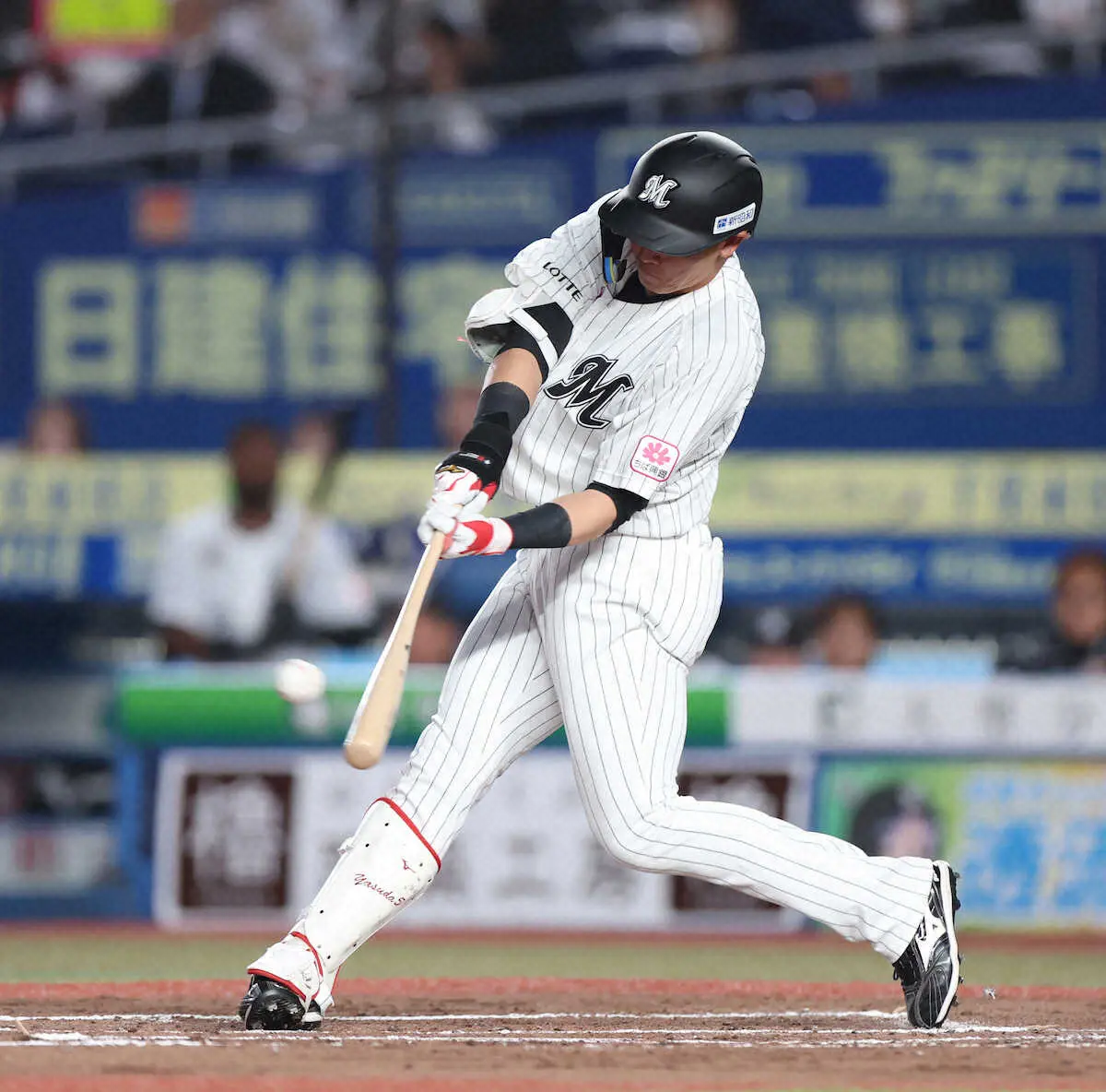 【画像・写真】日本ハム戦じゃなくてロッテ戦で「ゴーンヌ！」トレンド入り！名物キャスターにファン歓喜「久々で嬉しい」