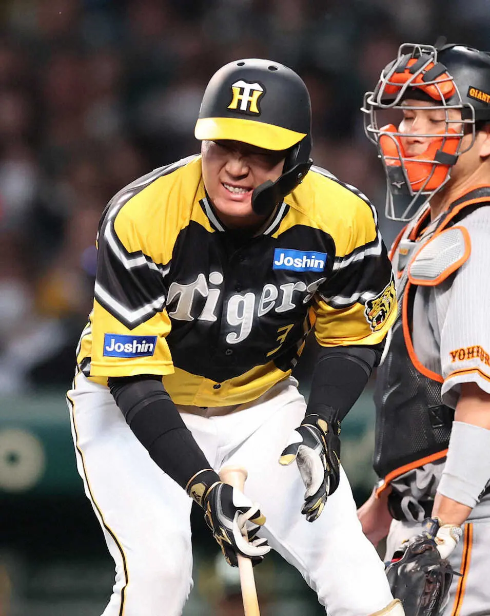 【画像・写真】甲子園騒然　阪神・佐藤輝＆大山に4回までに3死球　巨人ベンチに向けて怒声飛び交う