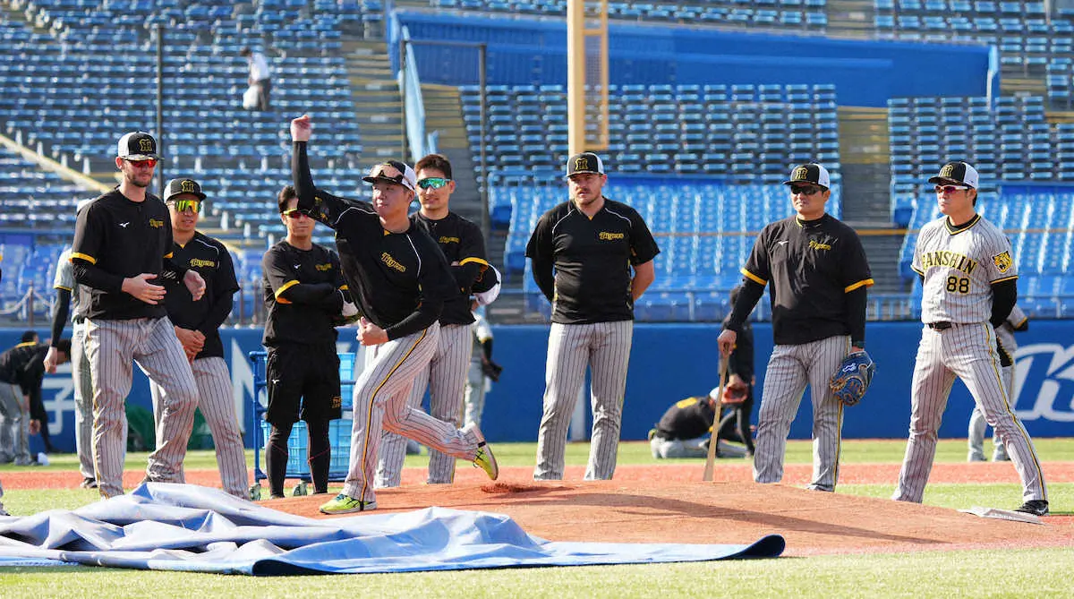 【画像・写真】阪神　29日・ヤクルト戦で先発の村上「サンタナの調子が上がってきている」今季計17イニング無失点　