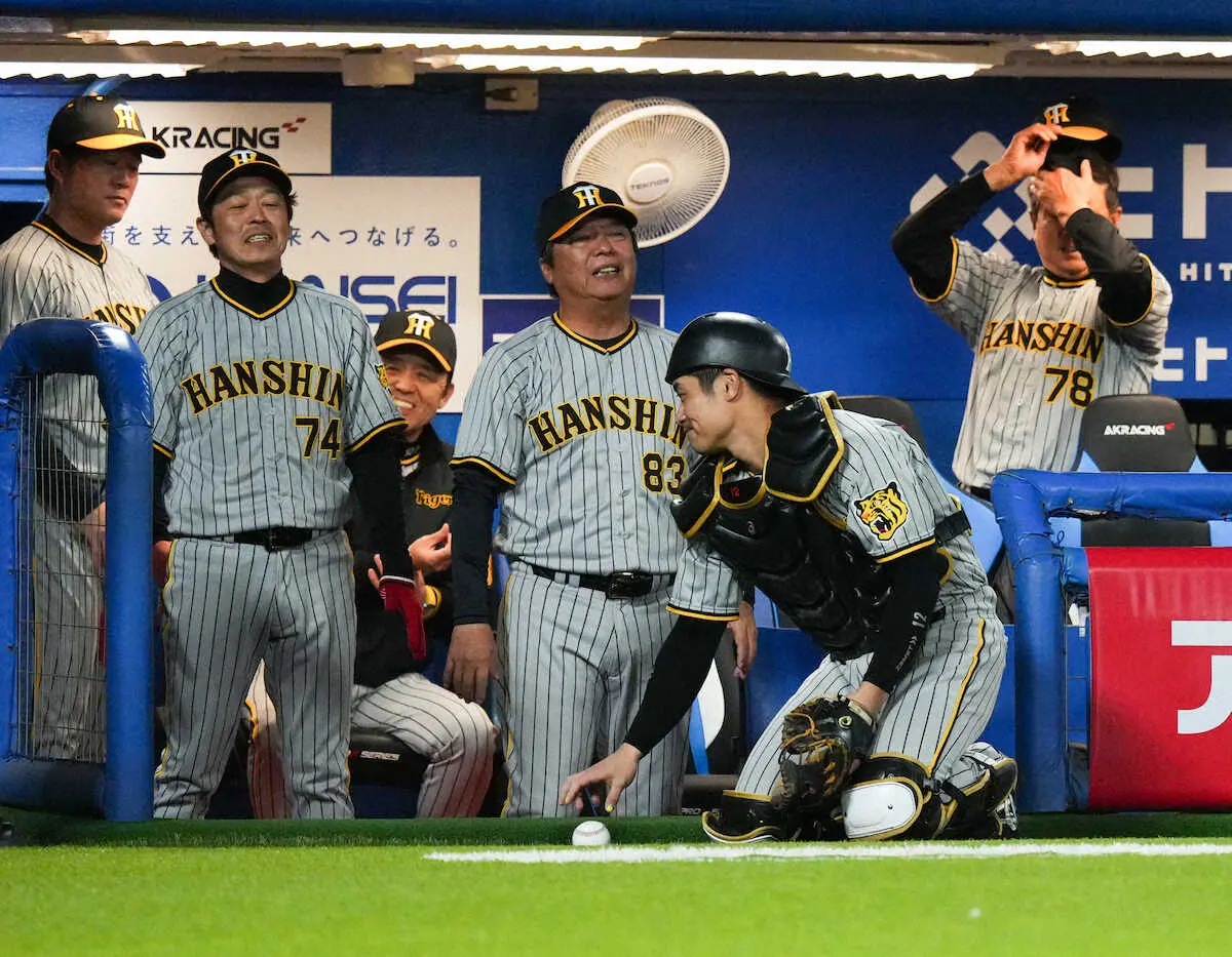 【画像・写真】もはや神がかり！阪神・坂本誠志郎の全勝神話　マスクかぶると36回連続無失点で虎党もネットで歓喜