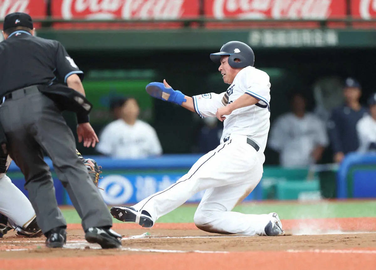 【画像・写真】日本ハム二刀流・矢沢がレーザービームで失点阻止　チームは3連勝中