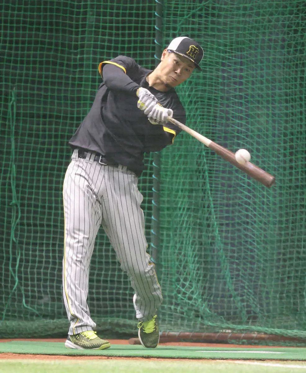 【画像・写真】阪神・佐藤輝　DeNA・バウアー撃ちへ「楽しみ」　14日初対決の可能性「変化球も真っすぐも全部一流」