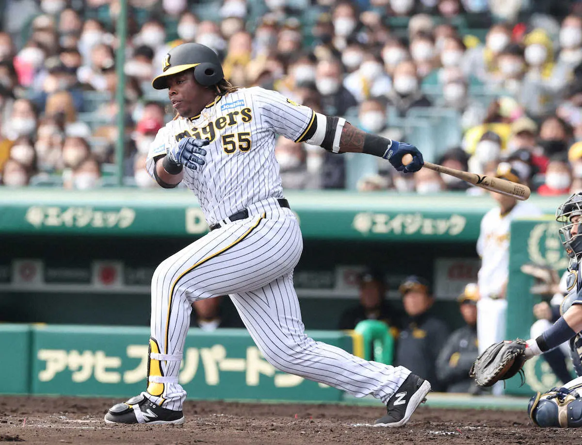 【画像・写真】阪神ミエセスが9日甲子園デビューへ「持っている全てを出したい」降雨中止直後に負けるジンクス吹き飛ばせ