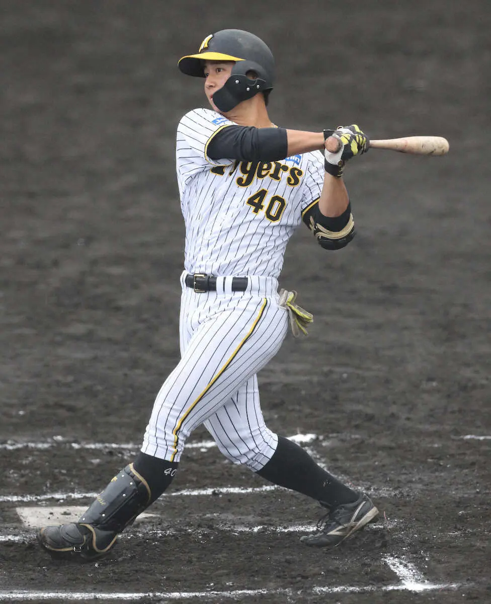 【画像・写真】2軍で圧倒的存在感　阪神・ドラ3井坪は3年後の1軍へ着々　改良重ねたフォームと積極姿勢で打率1位