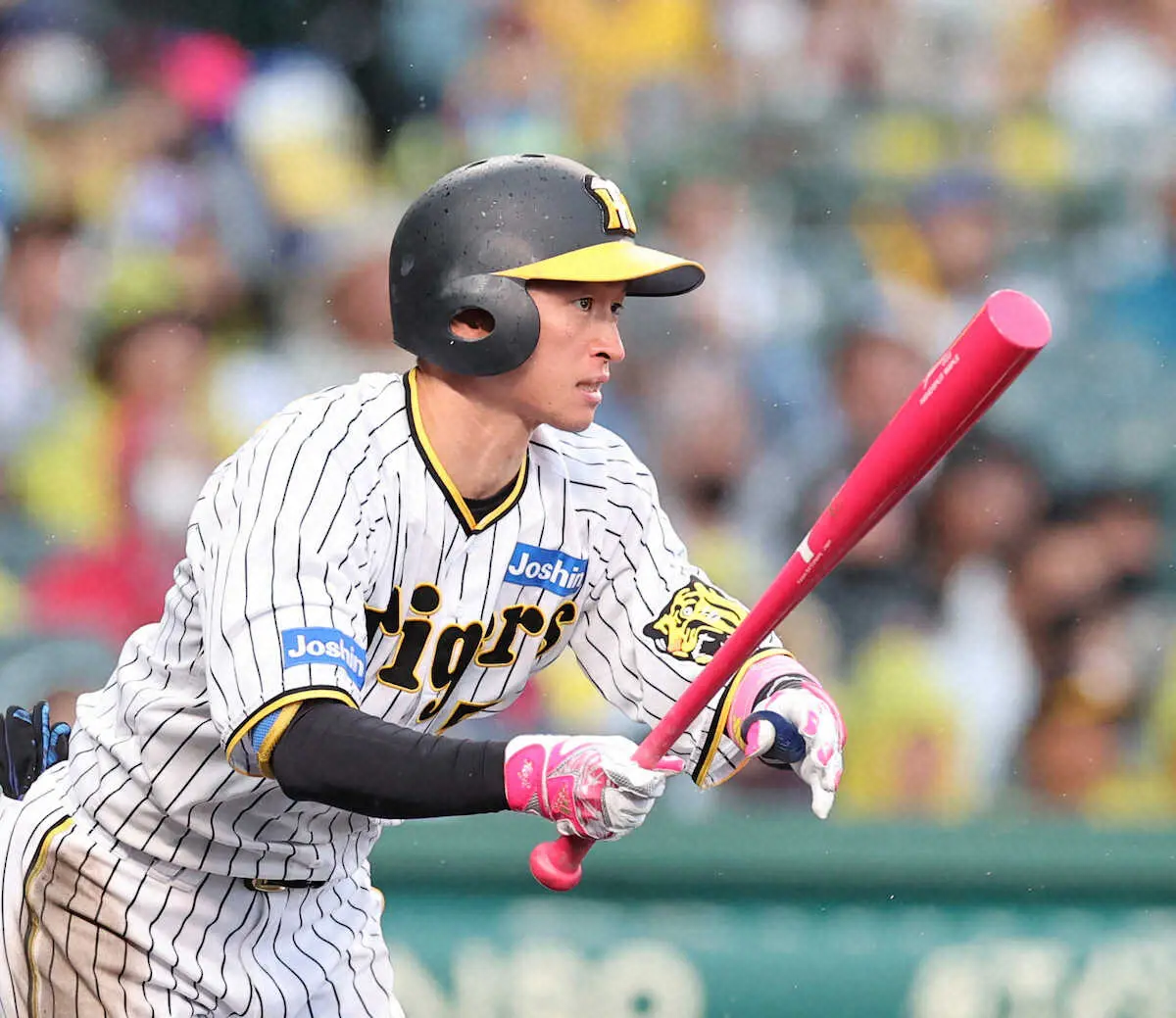 【画像・写真】得点圏打率・536　阪神・近本リーグトップの勝負強さ、ここぞの一打の要因は…