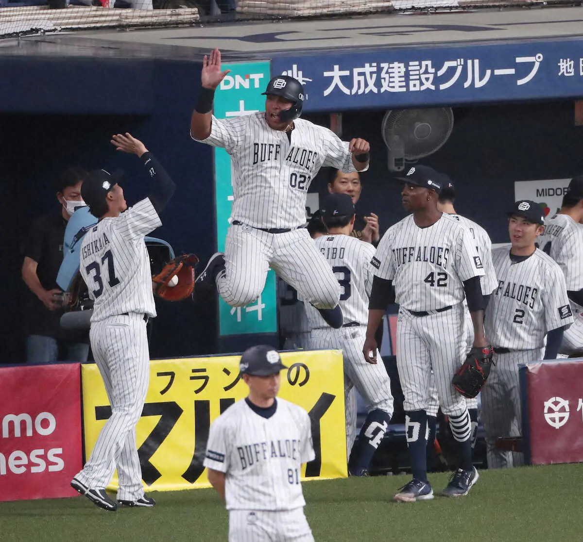 【画像・写真】2回、小田の適時打で生還し、石川（左）とハイタッチするセデーニョ　（撮影・須田　麻祐子）