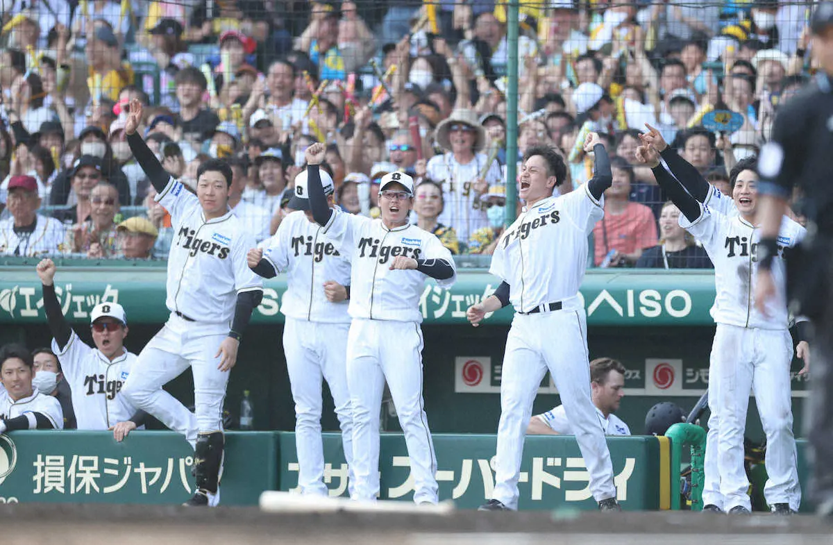 【画像・写真】阪神・大竹の涙に虎党　「あかんもらい泣きしてまう」「歴代最高のチーム」　関連ワードがトレンド席巻
