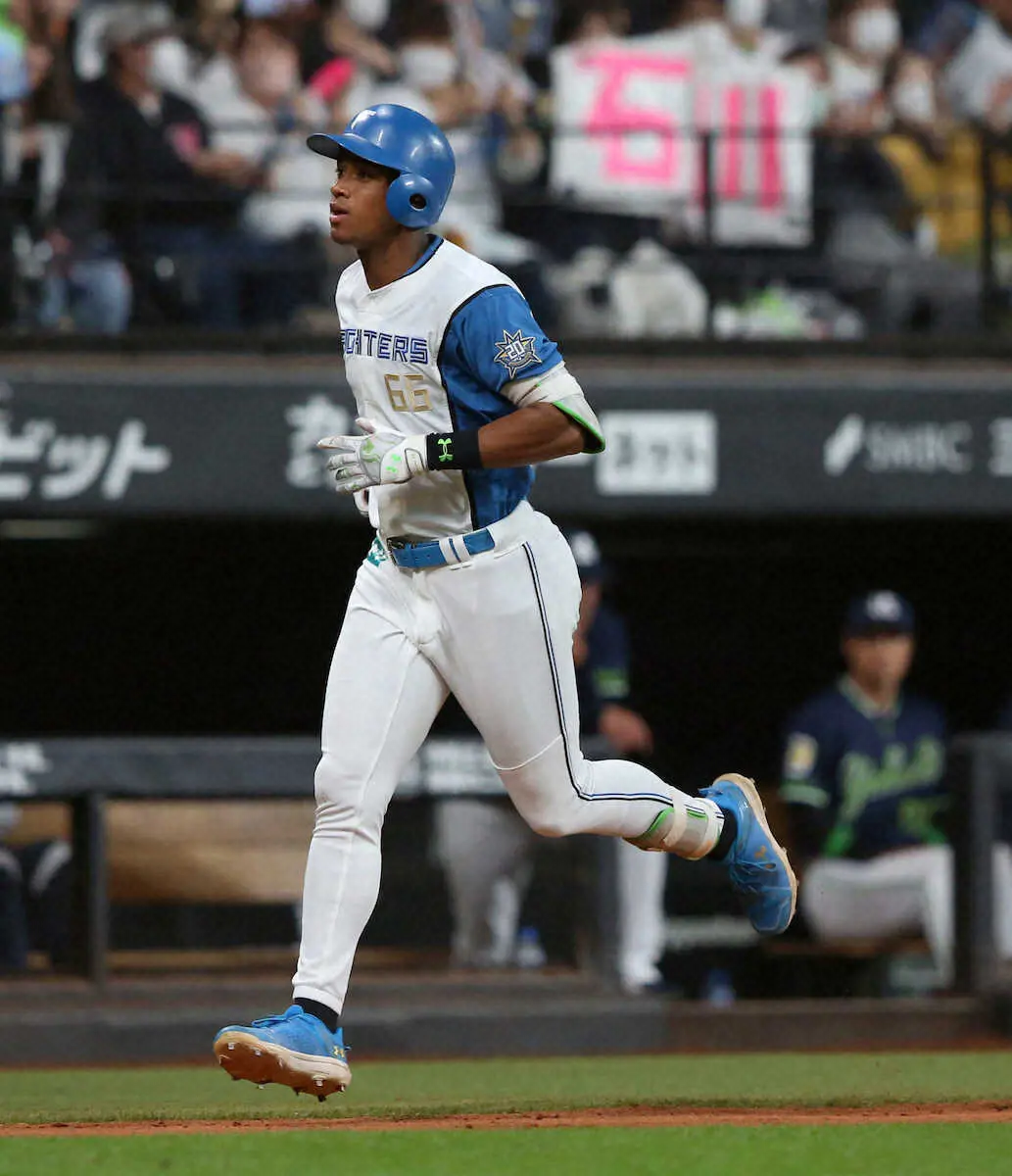 【画像・写真】日本ハム・万波　調子の波は表情にも!? 本塁打でも笑顔控えめ「一喜一憂せず、丁寧に」