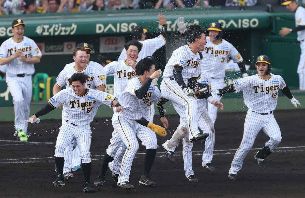 【画像・写真】阪神の連勝“支える”あの若虎　円陣の声出し風景に虎党も絶賛中「オモロい」「天才ちゃいますかーー！」